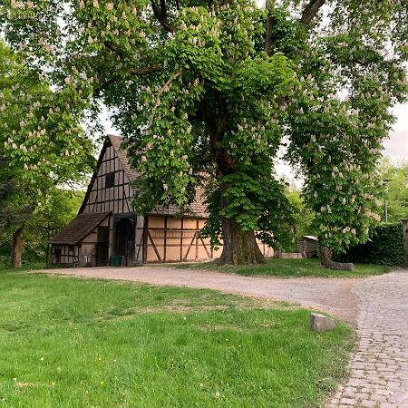 Ferienwohnung Schlössliches Ambiente mitten in der Natur Bodenfelde Exterior foto