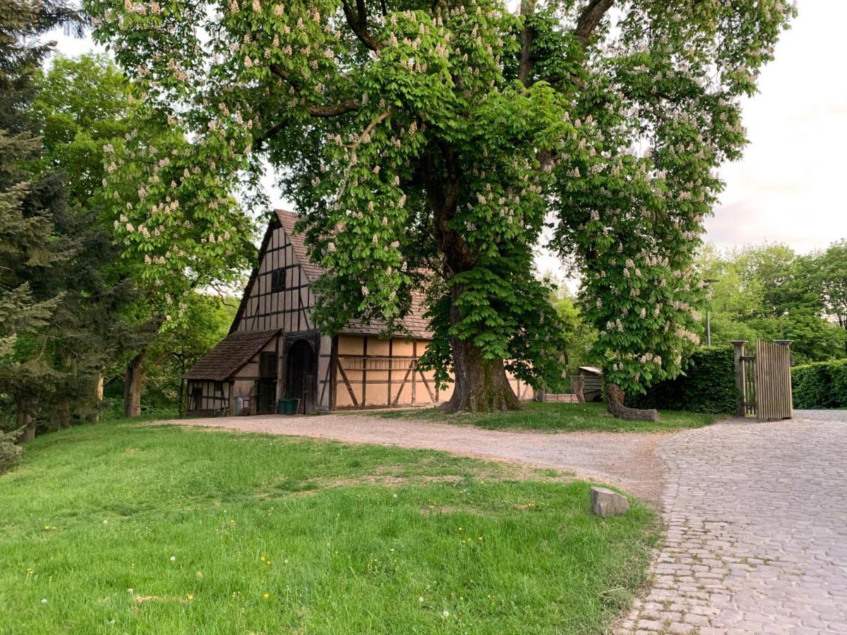 Ferienwohnung Schlössliches Ambiente mitten in der Natur Bodenfelde Exterior foto